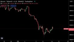 比特币凌晨一度突破3.1万美元！BTC亏损地址数量创历史新高