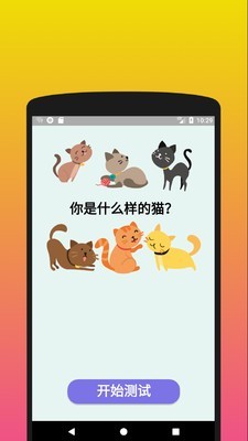 你是什么样的猫截图1