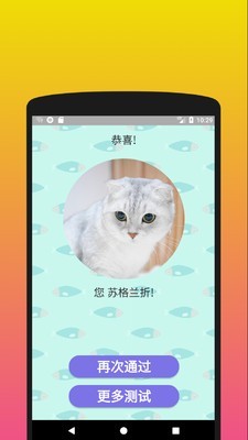 你是什么样的猫截图4