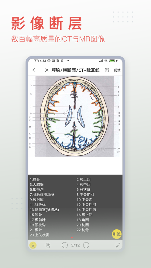 3Dbody解剖学app截图3