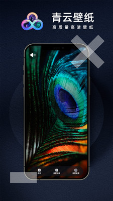 青云壁纸app截图3